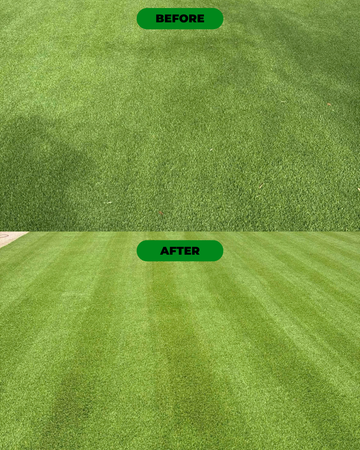 How to Clean Artificial Turf: DIY Tools, Vacuums & Machines
