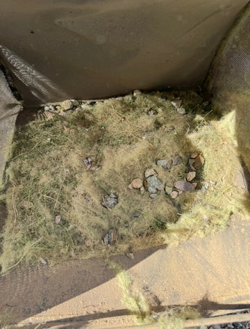 Pet hair and debris pulled from pet turf