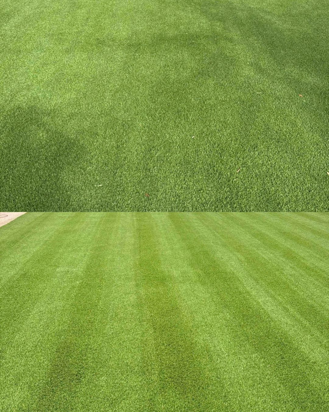 Pure Desert artificial turf cleaning before and after result from Southern Utah, project 2