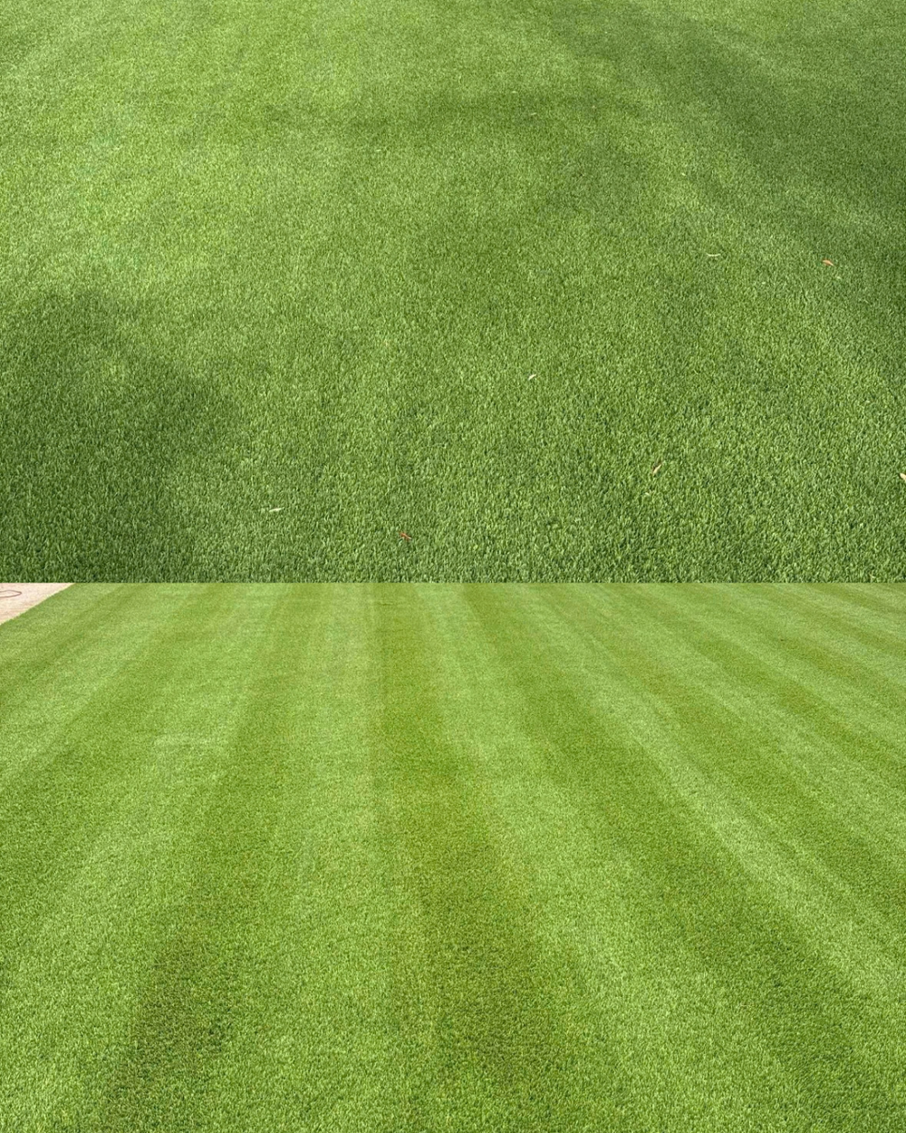 Before and after Pure Desert artificial turf cleaning result 2 in Southern Utah