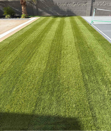 Professionally stripped and cleaned turf backyard area in Washington UT.