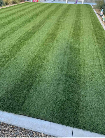 Fully treated, sanitized and vacuumed turf backyard area in Hurricane, Utah