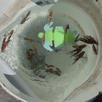 Emptying the skimmer basket helps Pure Desert Pool Co make sure every pool is running effectively in Washington Utah.