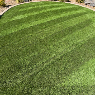 Stripped and cleaned front yard turf area in Hurricane, UT