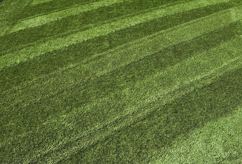 Pet artificial grass odor removal, sanitizing and debris extracting professionally done in St George.