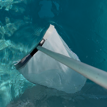 Netting the surface of the water is an important part of every Pure Desert Pool Co service.