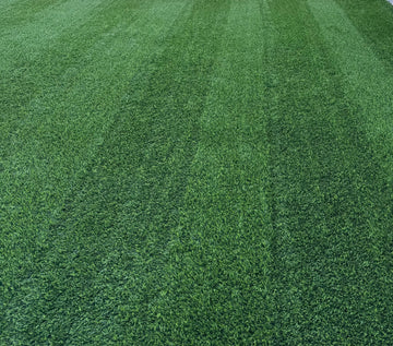 Refreshed & revived turf grass. Safe for pets, kids and the environment in Washington County, Utah 